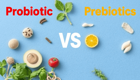Probiotics vs Prebiotics: Which Gut Health Supplements Do You Need? | Topvitamine - Topvitamine