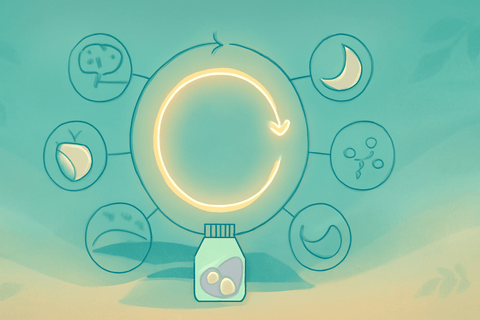 Supplements for emotional resilience - Topvitamine