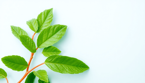 The Role of Vitamin K2 in Heart and Bone Health | Topvitamine - Topvitamine
