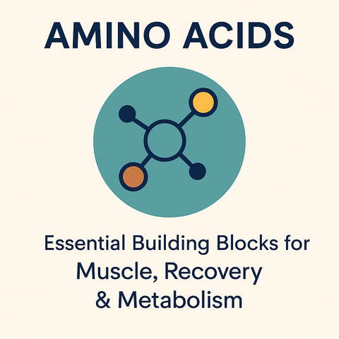 Amino Acids: Essential Building Blocks for Muscle, Recovery & Metabolism - Topvitamine