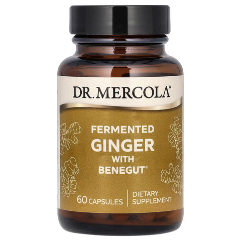 Fermented Ginger (60 Capsules) - Dr. Mercola