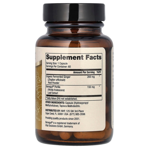 Fermented Ginger (60 Capsules) - Dr. Mercola - Topvitamine