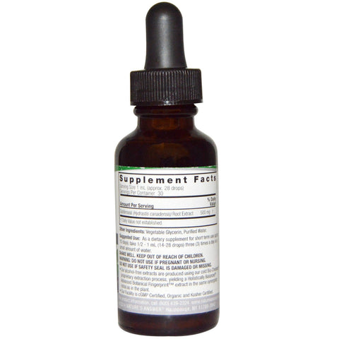 Goldenseal, Alcohol Free, 500 mg (30 ml) - Nature's Answer - Topvitamine